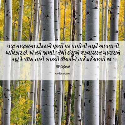 Picture 06 - માથ્થી 9:6 GUJIRV - પણ માણસના દીકરાને - Bible Verse Picture