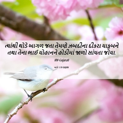 Picture 06 - માર્ક 1:19 GUJIRV - ત્યાંથી થોડે આગળ - Bible Verse Picture