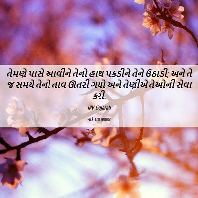 Picture 06 - માર્ક 1:31 GUJIRV - તેમણે પાસે આવીને - Bible Verse Picture