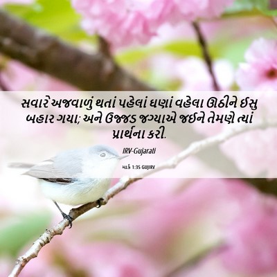 Picture 06 - માર્ક 1:35 GUJIRV - સવારે અજવાળું - Bible Verse Picture