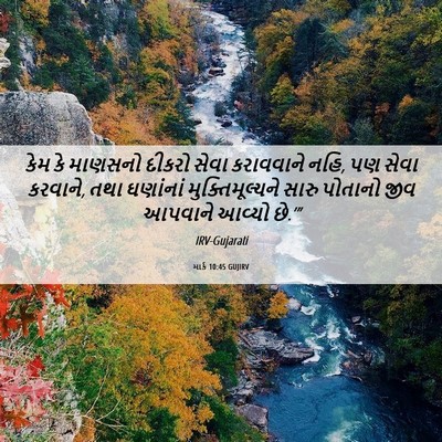 Picture 06 - માર્ક 10:45 GUJIRV - કેમ કે માણસનો - Bible Verse Picture