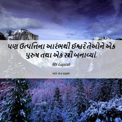 Picture 06 - માર્ક 10:6 GUJIRV - પણ ઉત્પત્તિના - Bible Verse Picture