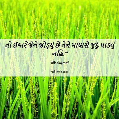 Picture 06 - માર્ક 10:9 GUJIRV - તો ઈશ્વરે જેને - Bible Verse Picture