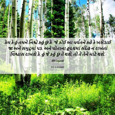Picture 06 - માર્ક 11:23 GUJIRV - કેમ કે હું તમને - Bible Verse Picture