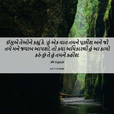 Picture 06 - માર્ક 11:29 GUJIRV - ઈસુએ તેઓને કહ્યું - Bible Verse Picture
