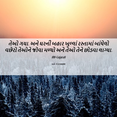 Picture 06 - માર્ક 11:4 GUJIRV - તેઓ ગયા. અને ઘરની - Bible Verse Picture