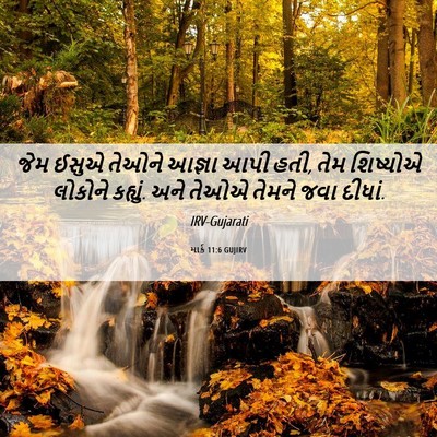 Picture 06 - માર્ક 11:6 GUJIRV - જેમ ઈસુએ તેઓને - Bible Verse Picture