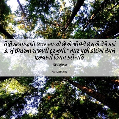 Picture 06 - માર્ક 12:34 GUJIRV - તેણે ડહાપણથી - Bible Verse Picture