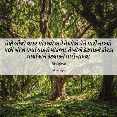 Picture 06 - માર્ક 12:5 GUJIRV - તેણે બીજો ચાકર - Bible Verse Picture