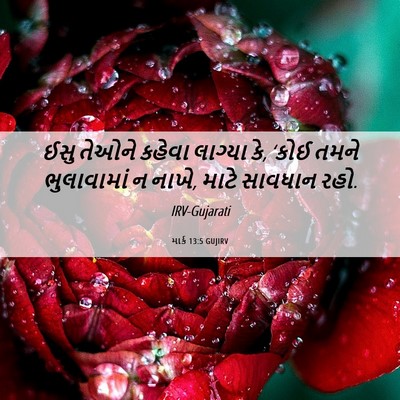 Picture 06 - માર્ક 13:5 GUJIRV - ઈસુ તેઓને કહેવા - Bible Verse Picture