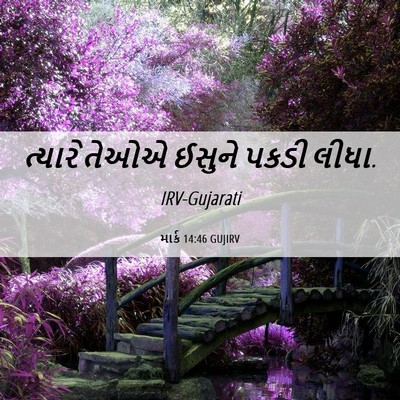 Picture 06 - માર્ક 14:46 GUJIRV - ત્યારે તેઓએ ઈસુને - Bible Verse Picture