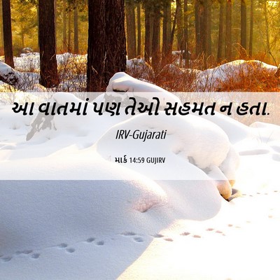 Picture 06 - માર્ક 14:59 GUJIRV - આ વાતમાં પણ તેઓ - Bible Verse Picture