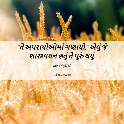 Picture 06 - માર્ક 15:28 GUJIRV - “તે અપરાધીઓમાં - Bible Verse Picture