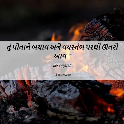 Picture 06 - માર્ક 15:30 GUJIRV - તું પોતાને બચાવ - Bible Verse Picture
