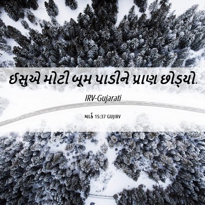 Picture 06 - માર્ક 15:37 GUJIRV - ઈસુએ મોટી બૂમ - Bible Verse Picture
