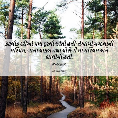 Picture 06 - માર્ક 15:40 GUJIRV - કેટલીક સ્ત્રીઓ પણ - Bible Verse Picture