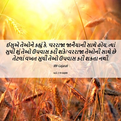 Picture 06 - માર્ક 2:19 GUJIRV - ઈસુએ તેઓને કહ્યું - Bible Verse Picture