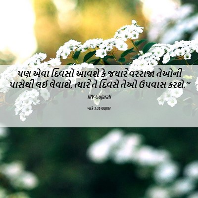 Picture 06 - માર્ક 2:20 GUJIRV - પણ એવા દિવસો આવશે - Bible Verse Picture