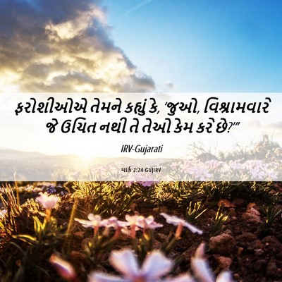 Picture 06 - માર્ક 2:24 GUJIRV - ફરોશીઓએ તેમને - Bible Verse Picture