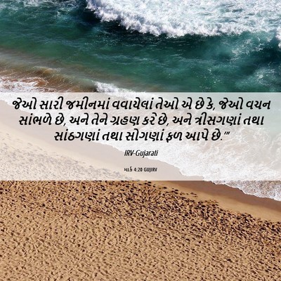 Picture 06 - માર્ક 4:20 GUJIRV - જેઓ સારી જમીનમાં - Bible Verse Picture