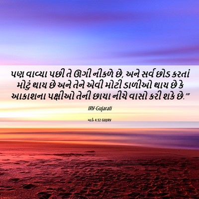 Picture 06 - માર્ક 4:32 GUJIRV - પણ વાવ્યા પછી તે - Bible Verse Picture