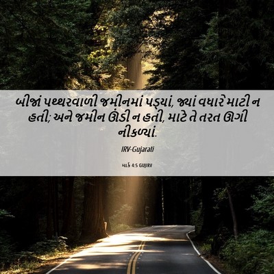 Picture 06 - માર્ક 4:5 GUJIRV - બીજાં પથ્થરવાળી - Bible Verse Picture