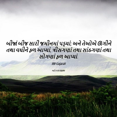 Picture 06 - માર્ક 4:8 GUJIRV - બીજાં બીજ સારી - Bible Verse Picture
