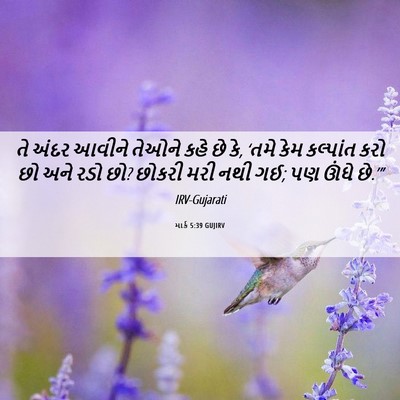 Picture 06 - માર્ક 5:39 GUJIRV - તે અંદર આવીને - Bible Verse Picture