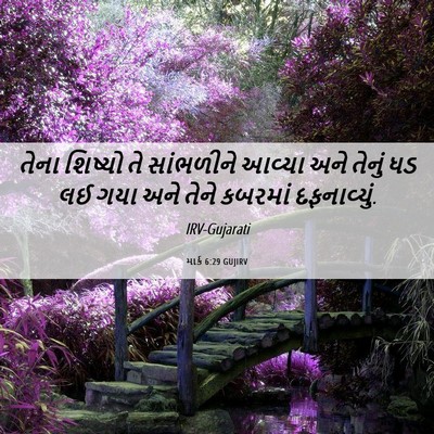 Picture 06 - માર્ક 6:29 GUJIRV - તેના શિષ્યો તે - Bible Verse Picture