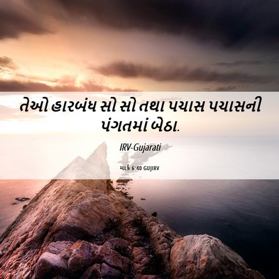Picture 06 - માર્ક 6:40 GUJIRV - તેઓ હારબંધ સો સો - Bible Verse Picture