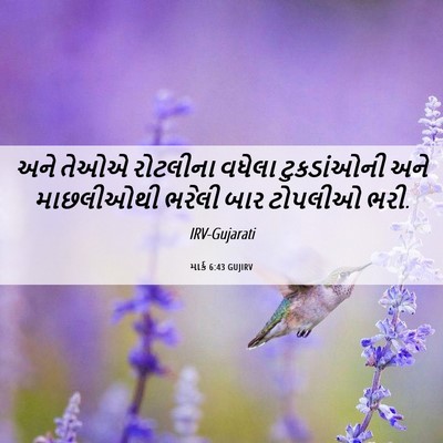 Picture 06 - માર્ક 6:43 GUJIRV - અને તેઓએ રોટલીના - Bible Verse Picture