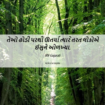 Picture 06 - માર્ક 6:54 GUJIRV - તેઓ હોડી પરથી - Bible Verse Picture