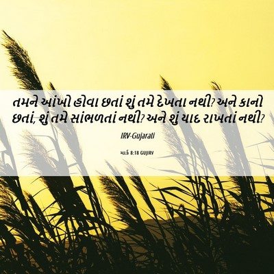 Picture 06 - માર્ક 8:18 GUJIRV - તમને આંખો હોવા - Bible Verse Picture