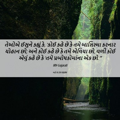 Picture 06 - માર્ક 8:28 GUJIRV - તેઓએ ઈસુને કહ્યું - Bible Verse Picture