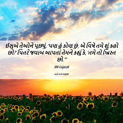 Picture 06 - માર્ક 8:29 GUJIRV - ઈસુએ તેઓને - Bible Verse Picture