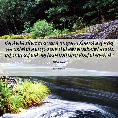 Picture 06 - માર્ક 8:31 GUJIRV - ઈસુ તેઓને શીખવવા - Bible Verse Picture