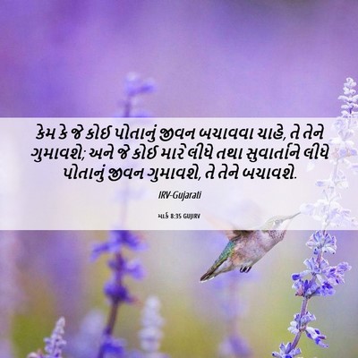 Picture 06 - માર્ક 8:35 GUJIRV - કેમ કે જે કોઈ - Bible Verse Picture