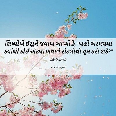 Picture 06 - માર્ક 8:4 GUJIRV - શિષ્યોએ ઈસુને - Bible Verse Picture