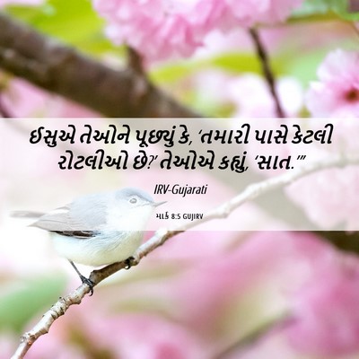 Picture 06 - માર્ક 8:5 GUJIRV - ઈસુએ તેઓને - Bible Verse Picture