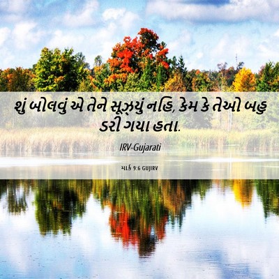 Picture 06 - માર્ક 9:6 GUJIRV - શું બોલવું એ તેને - Bible Verse Picture