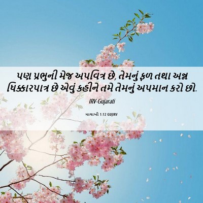 Picture 06 - માલાખી 1:12 GUJIRV - પણ પ્રભુની મેજ - Bible Verse Picture