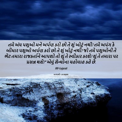 Picture 06 - માલાખી 1:8 GUJIRV - તમે અંધ પશુઓ મને - Bible Verse Picture