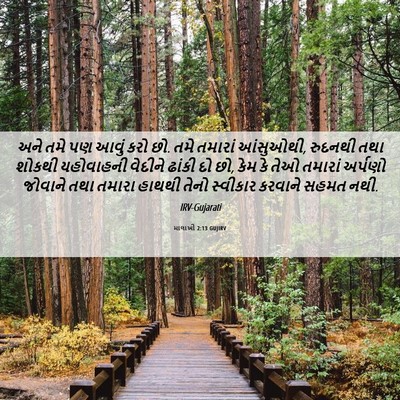 Picture 06 - માલાખી 2:13 GUJIRV - અને તમે પણ આવું કરો - Bible Verse Picture