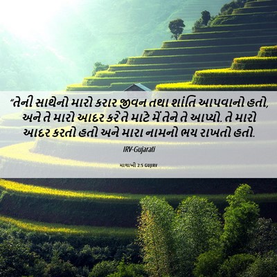 Picture 06 - માલાખી 2:5 GUJIRV - “તેની સાથેનો મારો - Bible Verse Picture