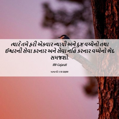 Picture 06 - માલાખી 3:18 GUJIRV - ત્યારે તમે ફરી - Bible Verse Picture