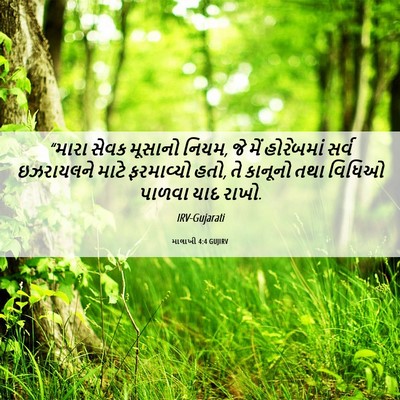 Picture 06 - માલાખી 4:4 GUJIRV - “મારા સેવક મૂસાનો - Bible Verse Picture