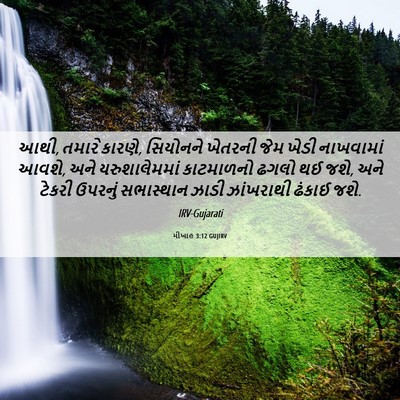 Picture 06 - મીખાહ 3:12 GUJIRV - આથી, તમારે કારણે, - Bible Verse Picture