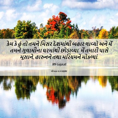 Picture 06 - મીખાહ 6:4 GUJIRV - કેમ કે હું તો તમને - Bible Verse Picture