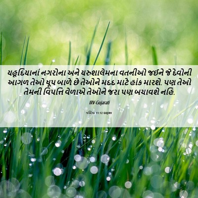 Picture 06 - યર્મિયા 11:12 GUJIRV - યહૂદિયાનાં નગરોના - Bible Verse Picture