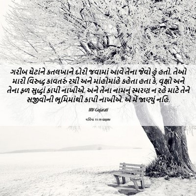 Picture 06 - યર્મિયા 11:19 GUJIRV - ગરીબ ઘેટાંને - Bible Verse Picture